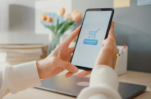 ecommerce development solution, ecommerce website development services