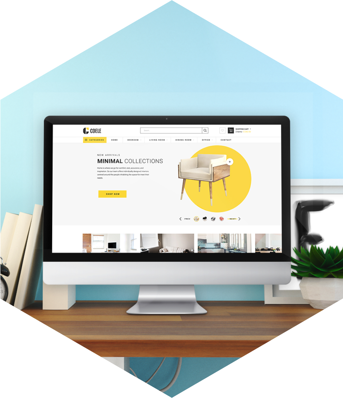 ecommerce website development packages