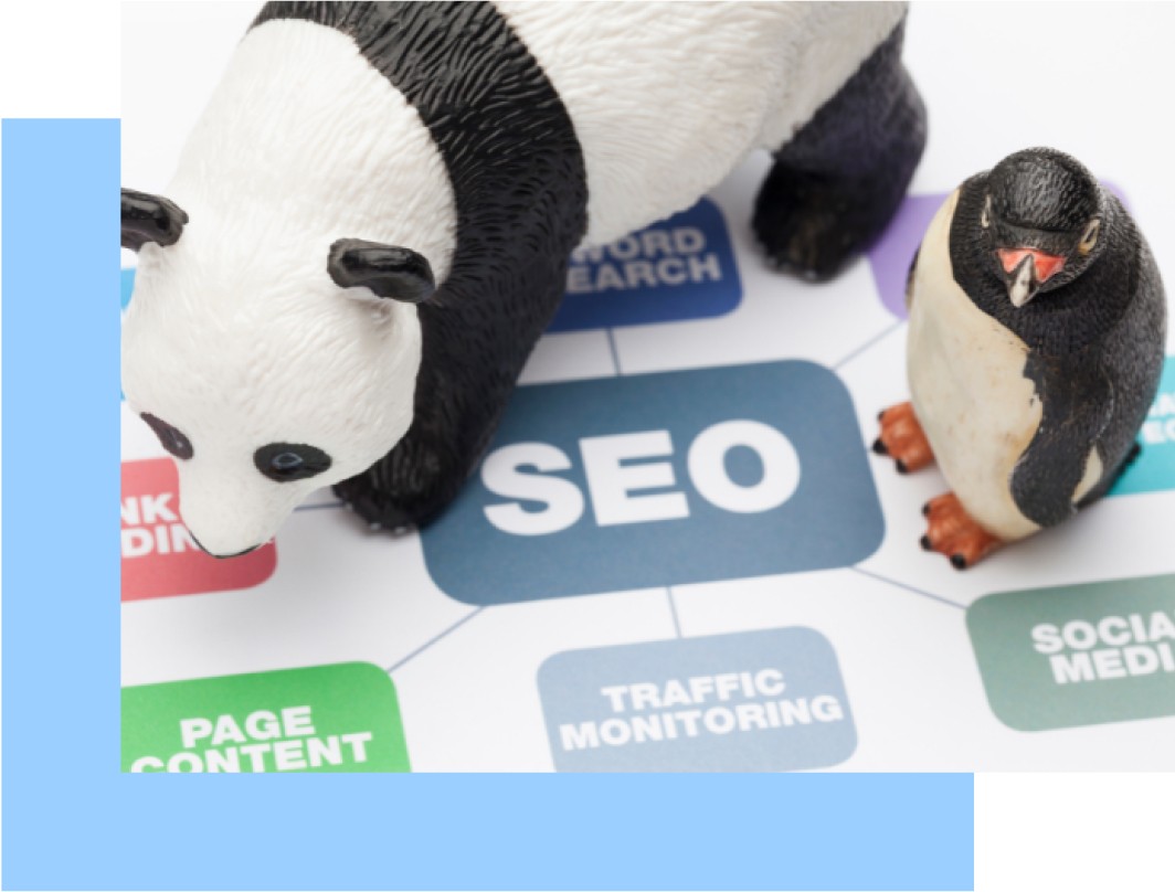 SEO service for Magento